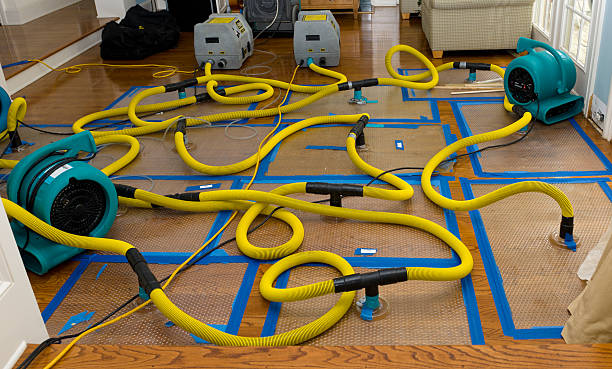 Professional Basement Flood Cleanup technician working in Alamo, NV